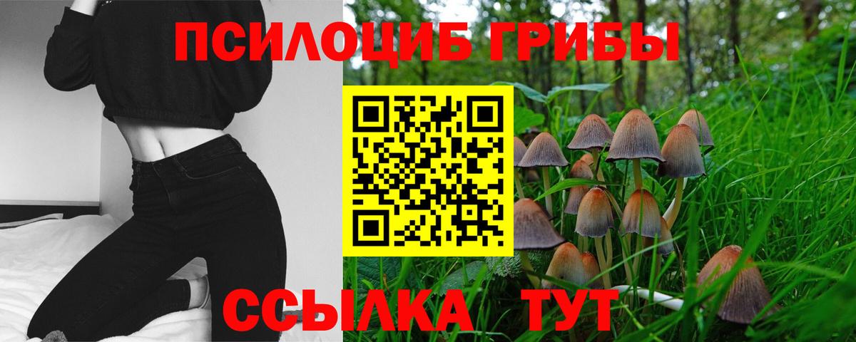 Солнечногорск  Галлюциногенные грибы GOLDEN TEACHER  Вход с VPN 
